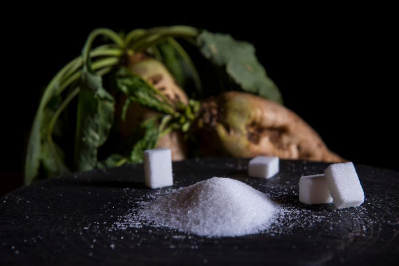 Sucre et betterave sucrière